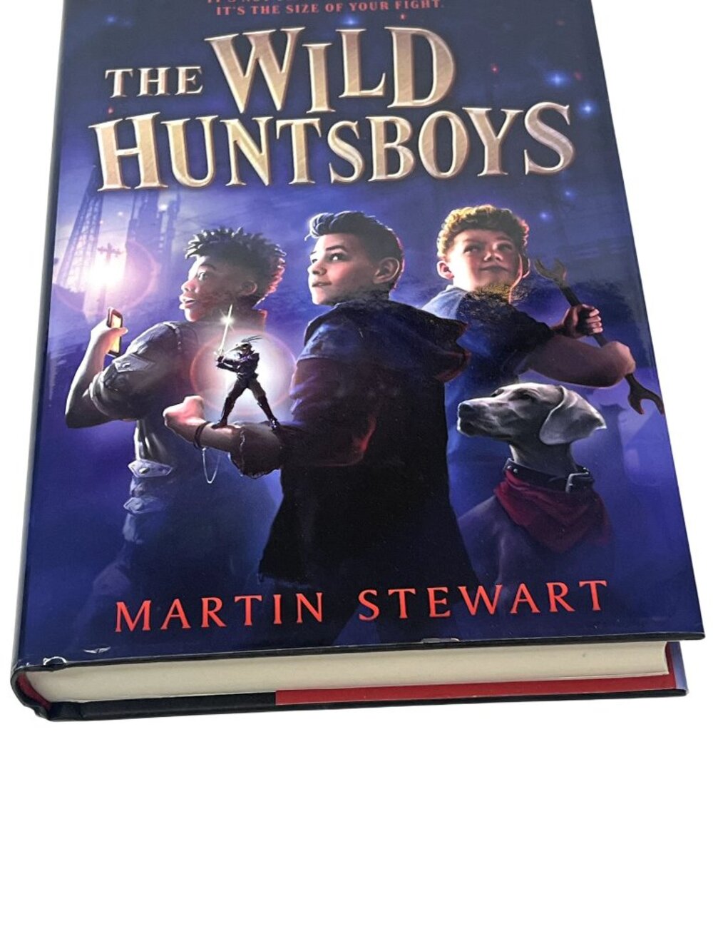 The Wild Huntsboys Martin Stewart Hardcover Fantasy Novel New